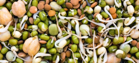 Les graines germées : une véritable bombe nutritionnelle pour votre santé !