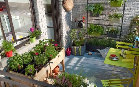 Petit jardin, nos astuces pour un espace parfait