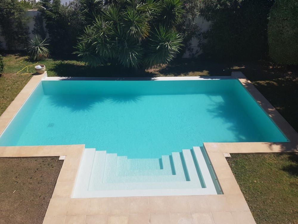 ENTRETIEN DE LA PISCINE